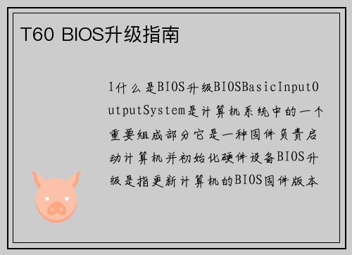 T60 BIOS升级指南